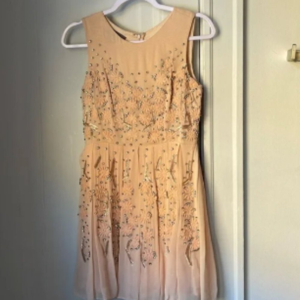 Jenny Yoo Collection Blaire Beaded Embellished Blush Dress Gown XS